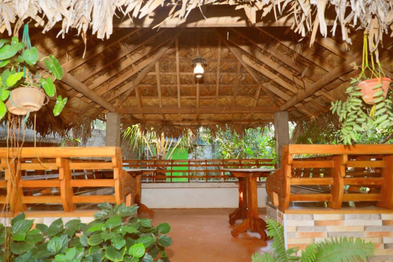 Farmdean * Kanyakumari