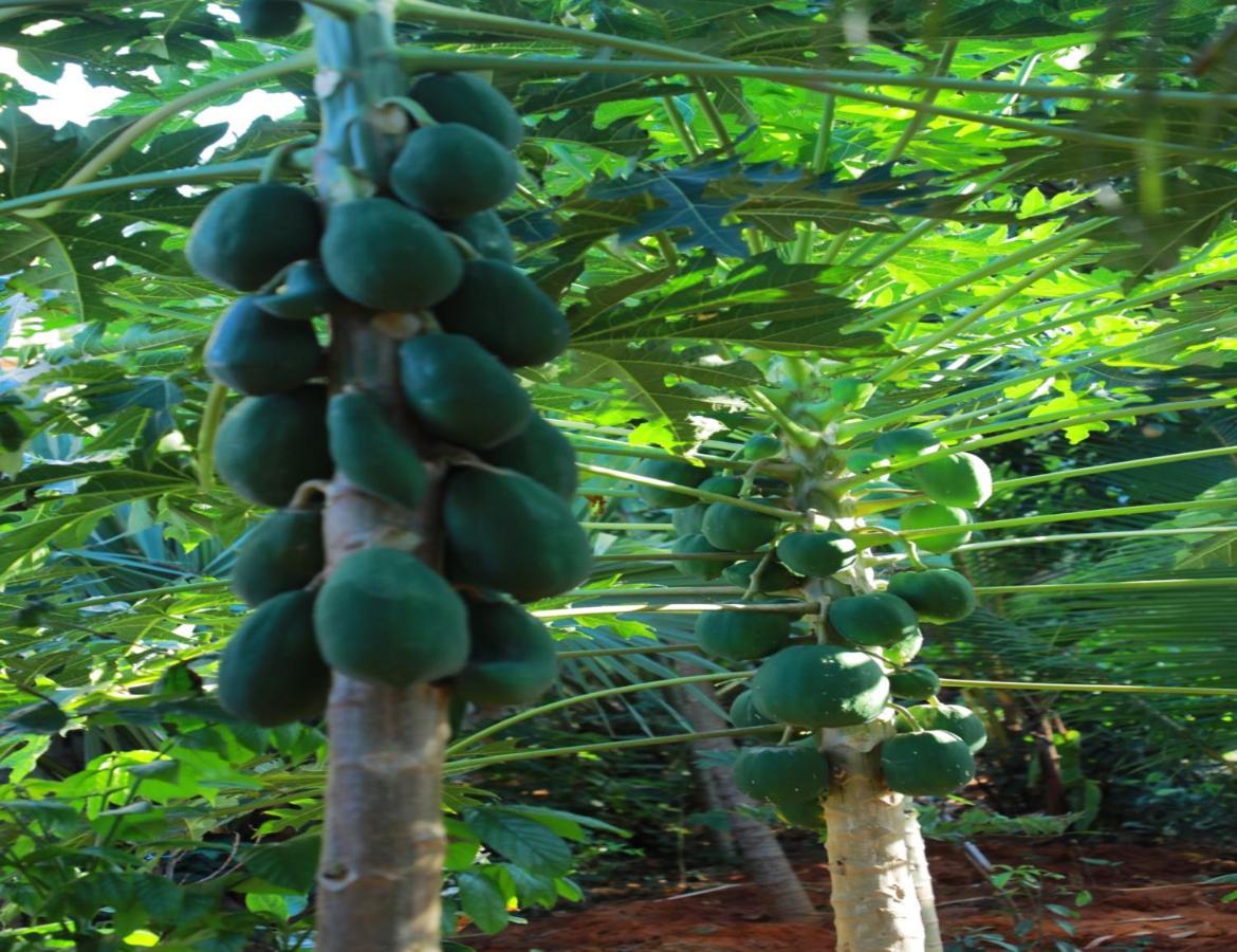Farmdean Resort Kanyakumari