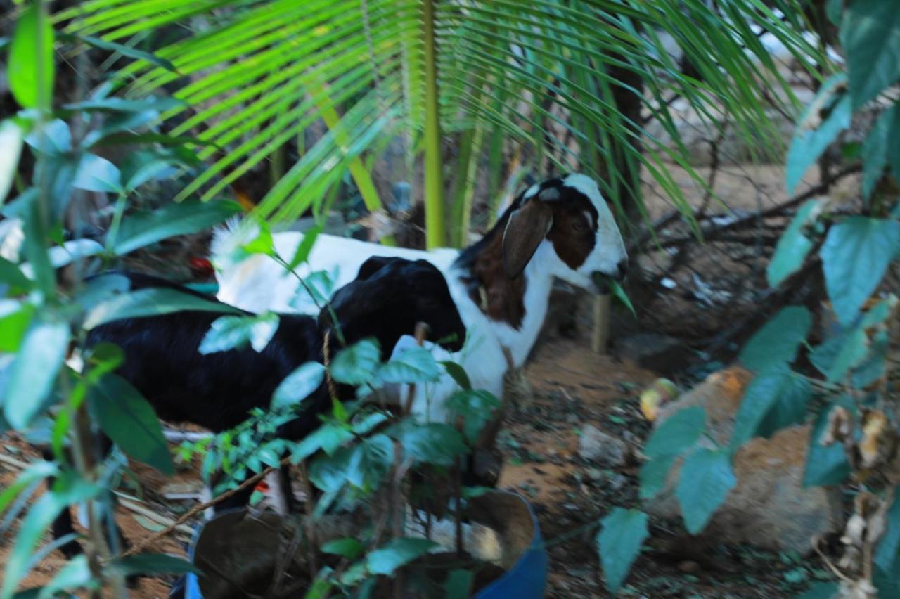 Resort Farmdean *