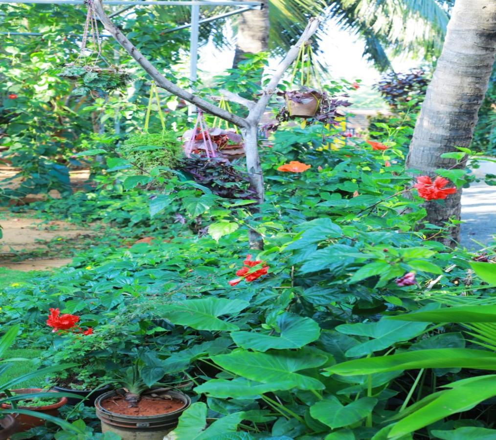 Farmdean Kanyakumari