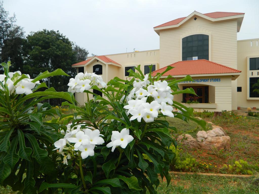 Stella Maris *