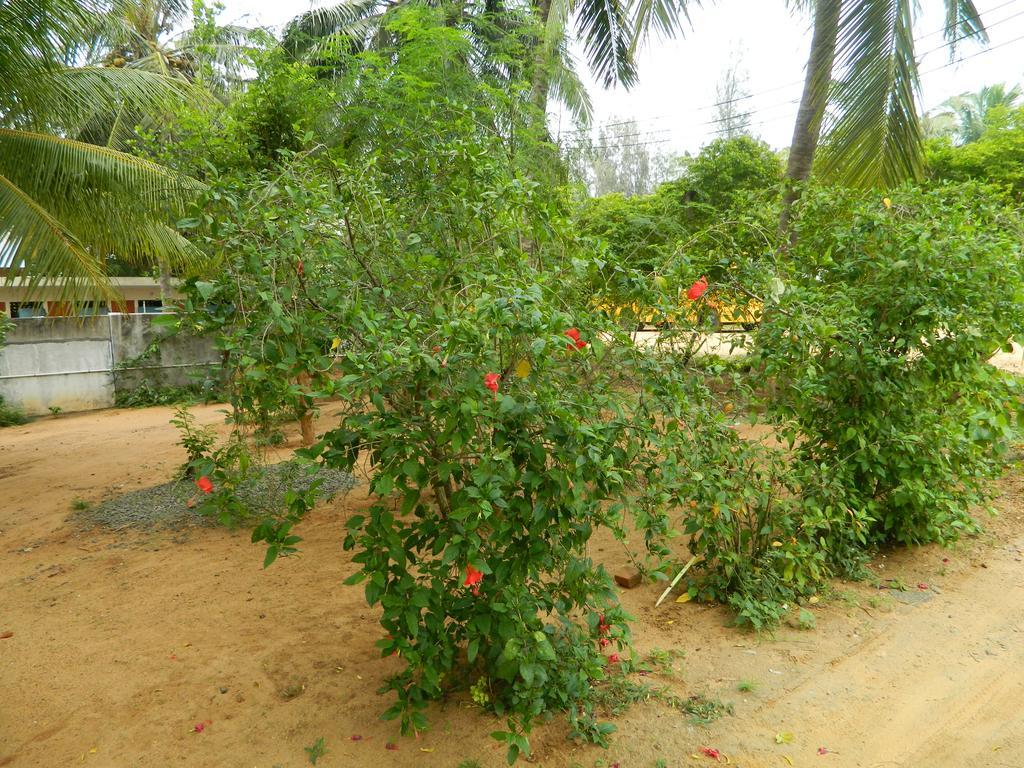 Stella Maris Bed & Breakfast *