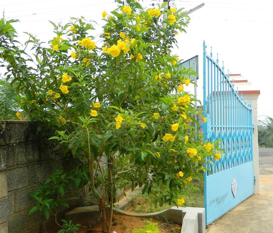 Stella Maris Bed & Breakfast *