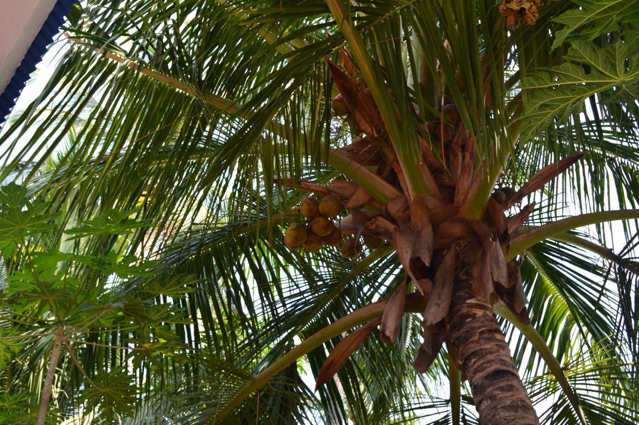 Golden Nest Homestay * Kanyakumari