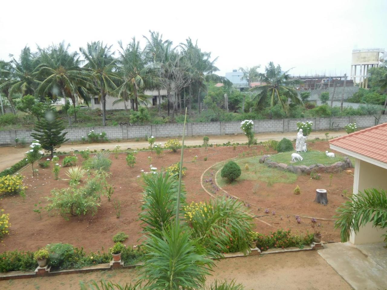 Stella Maris *