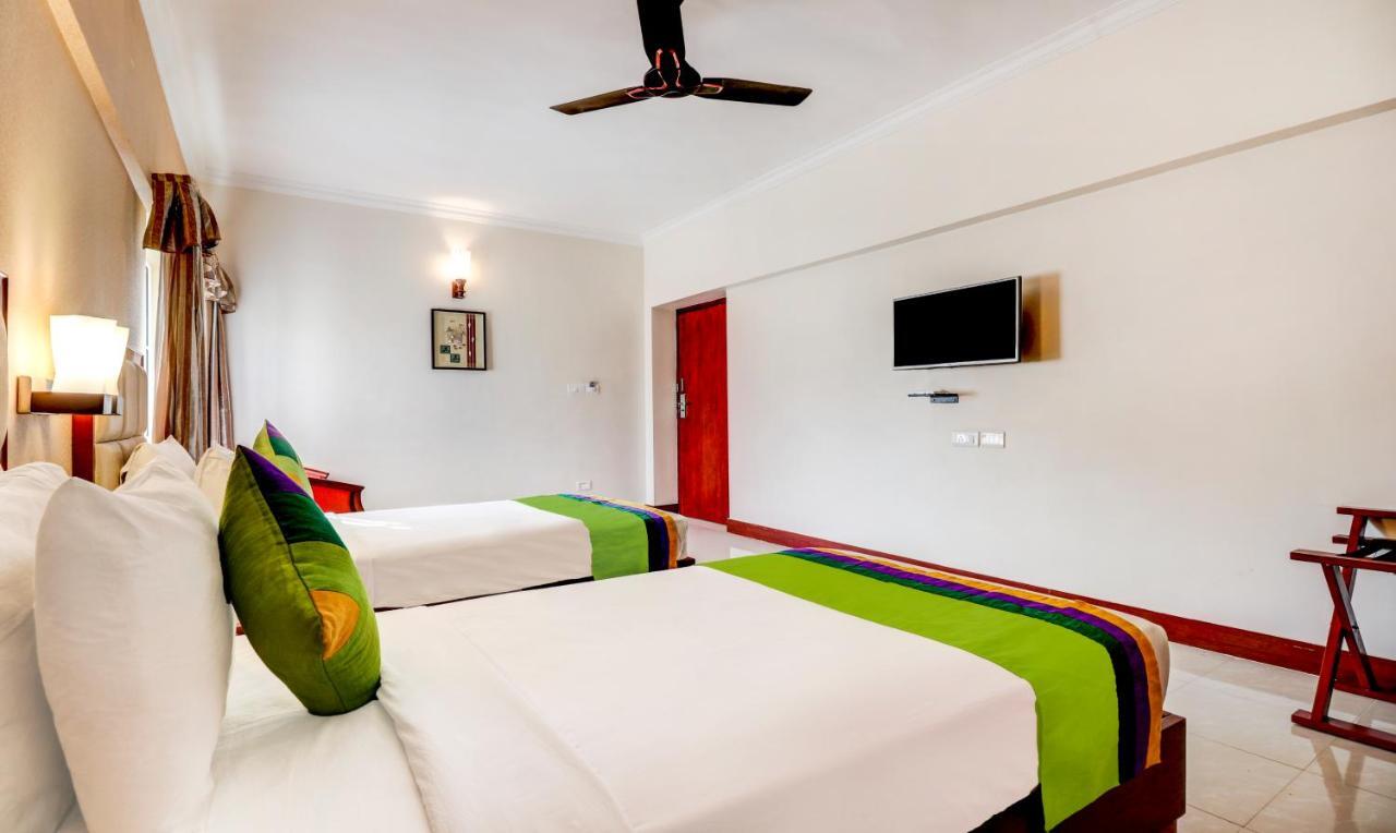 Hotel Palmyra Grand Suite
